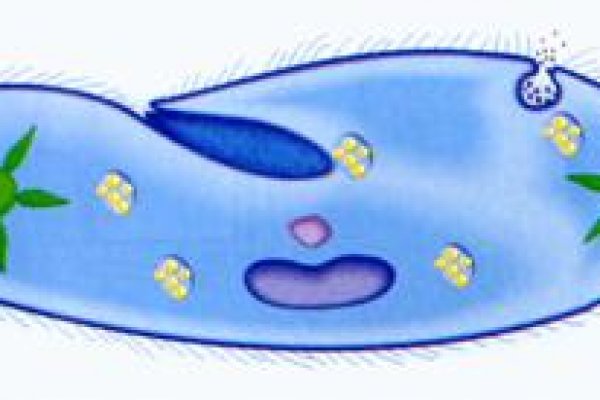 Kra35at
