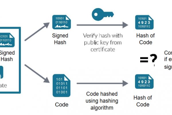 Kraken network