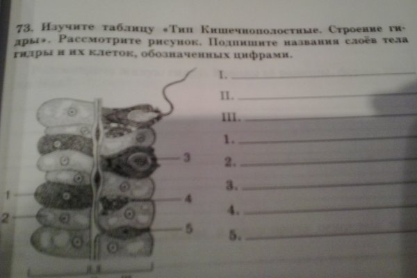 Kraken в россии