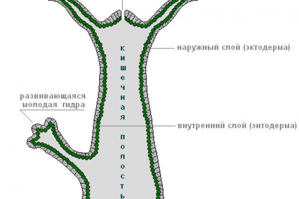 Маркет плей кракен