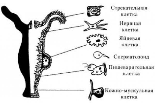 Кракен сайт kraken014 com