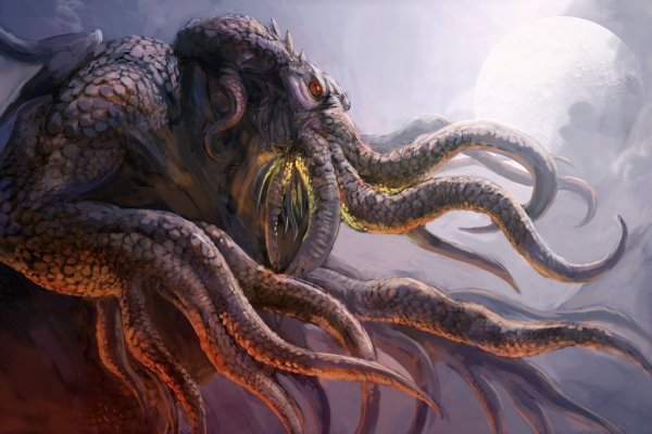 Kraken onion 2024